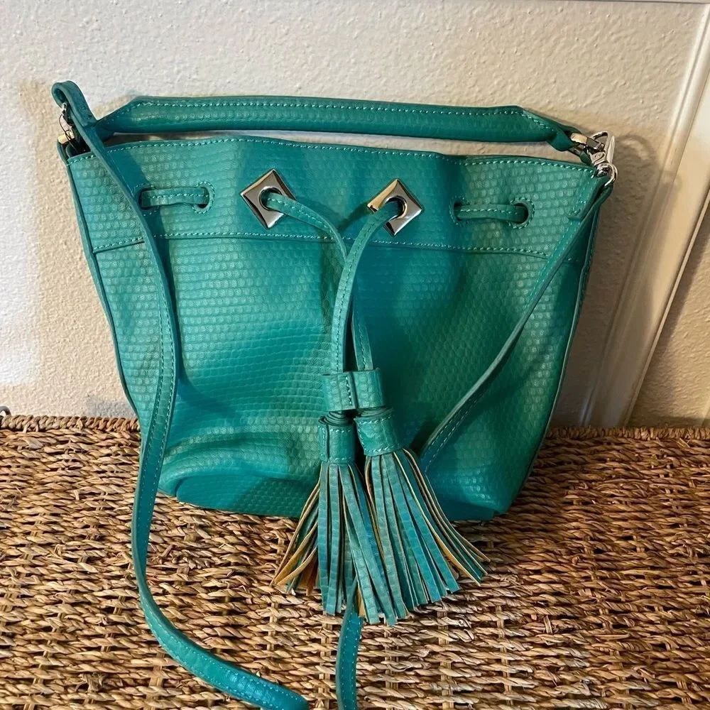Danielle Nicole CUTE Crossbody Teal Purse